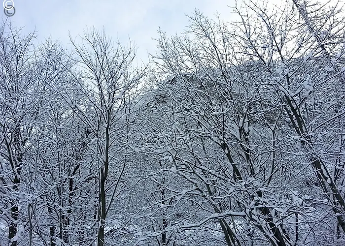 Cervinia Near Funicular With Private Garage *